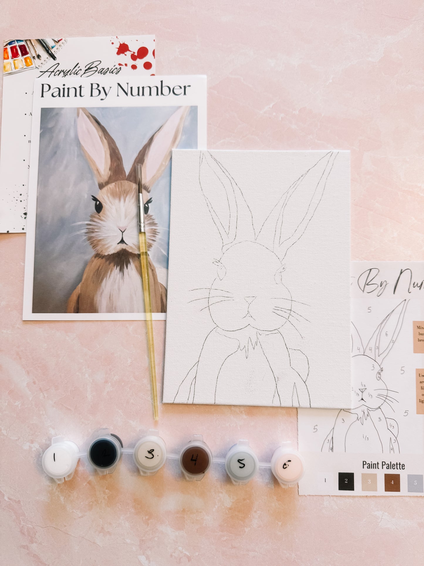 Bunny Portrait Mini Paint By Number