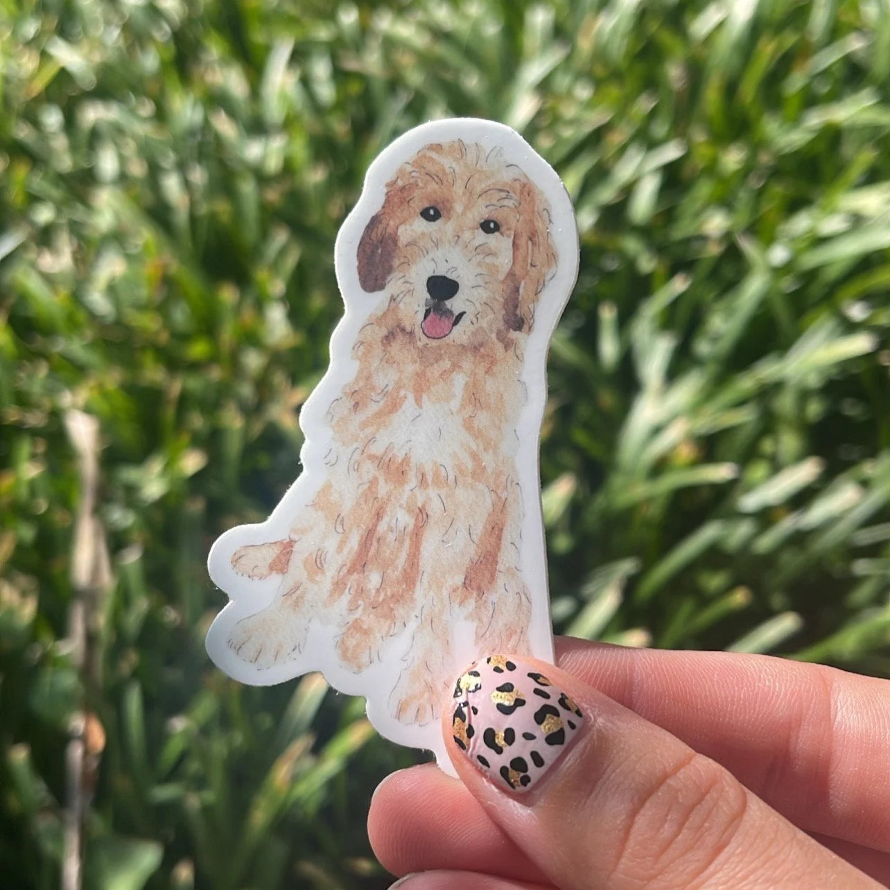 Watercolor Doodle Sticker