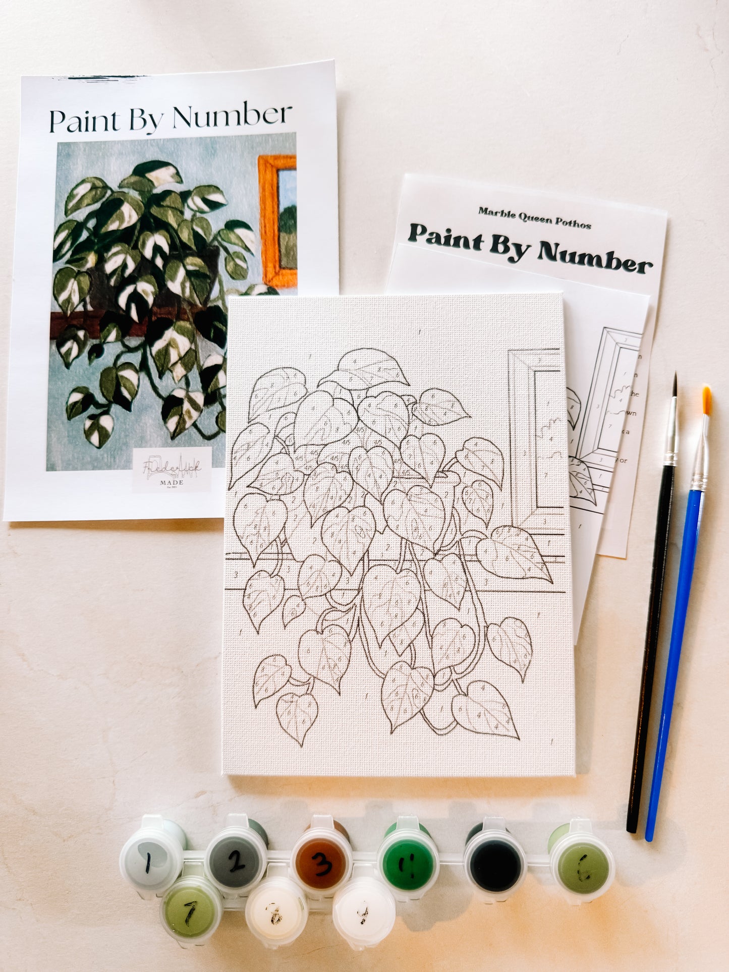 Marble Queen Pothos Mini Paint By Number