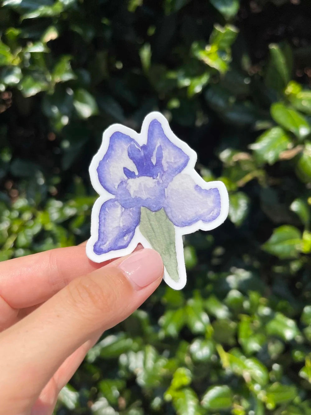 Watercolor Flower Sticker