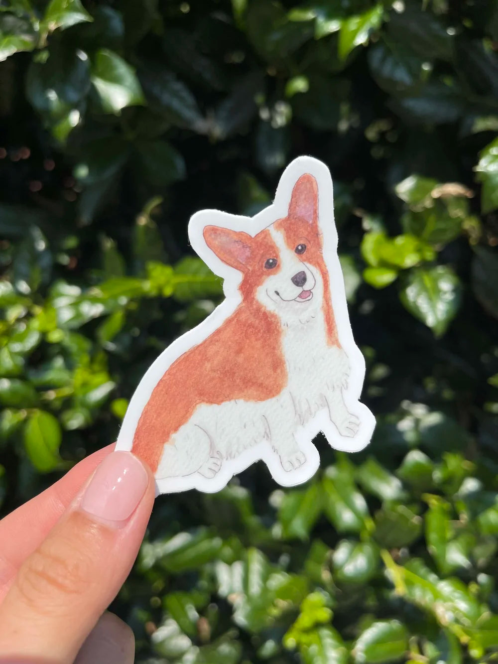 Watercolor Corgi Sticker