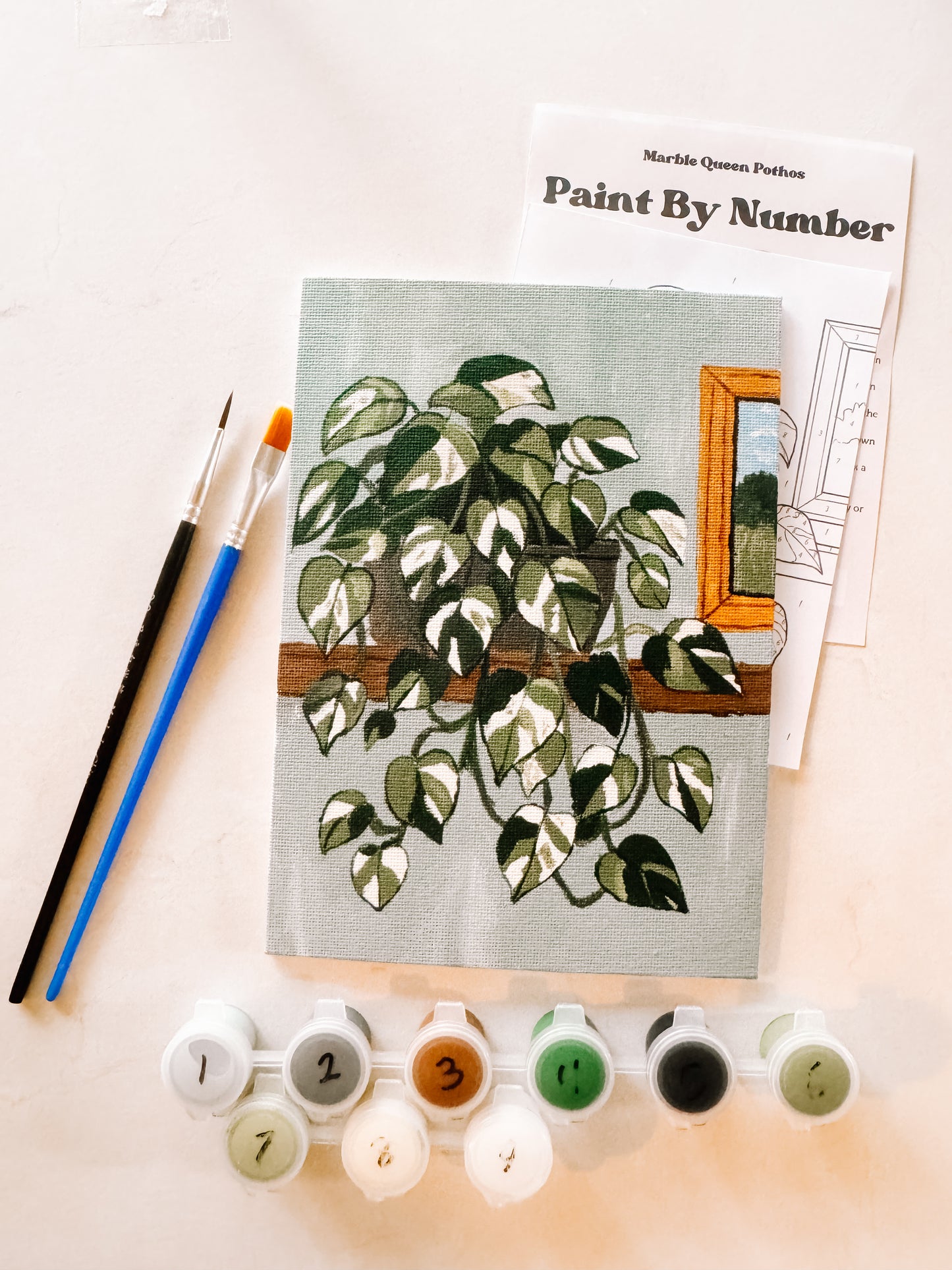 Marble Queen Pothos Mini Paint By Number