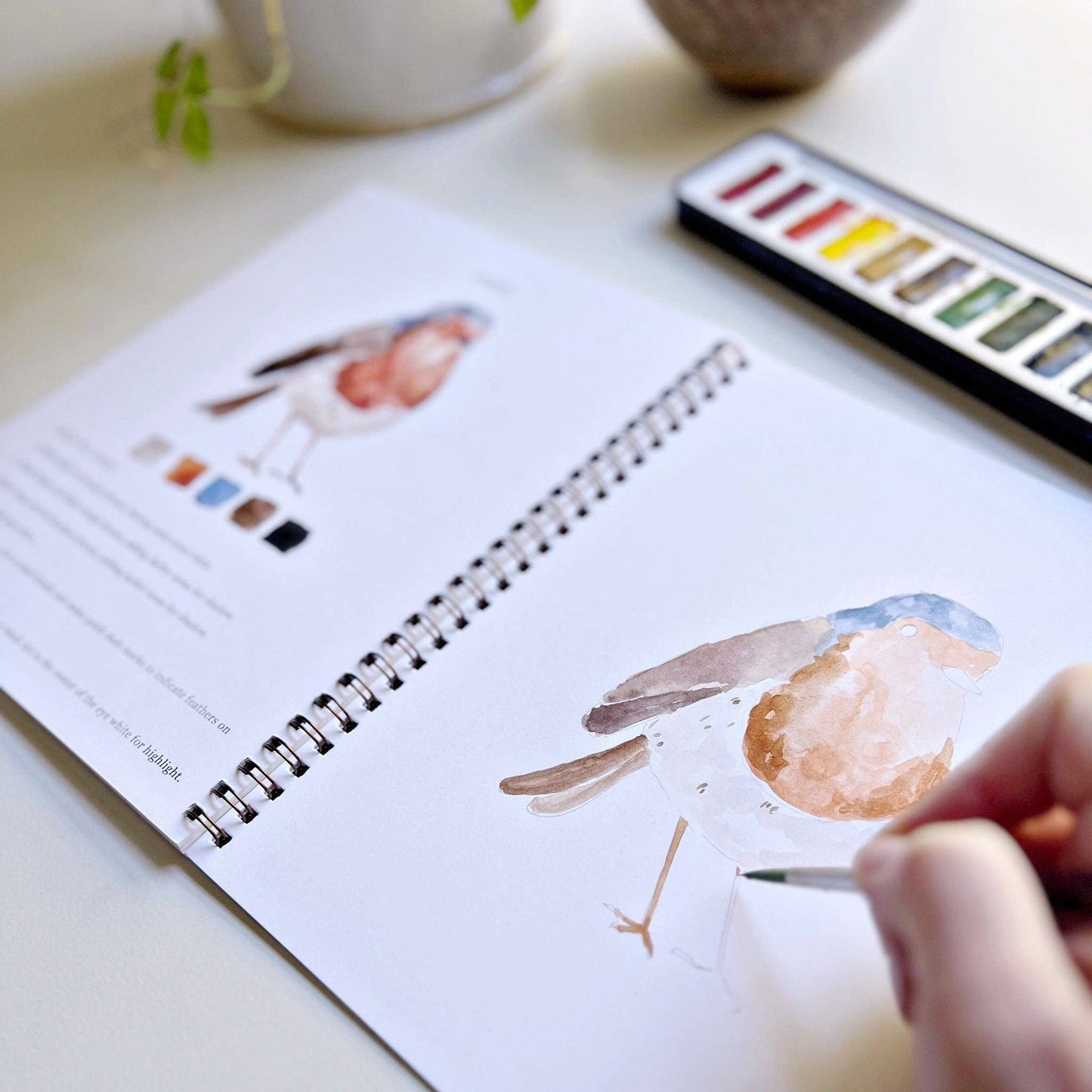 birds watercolor workbook