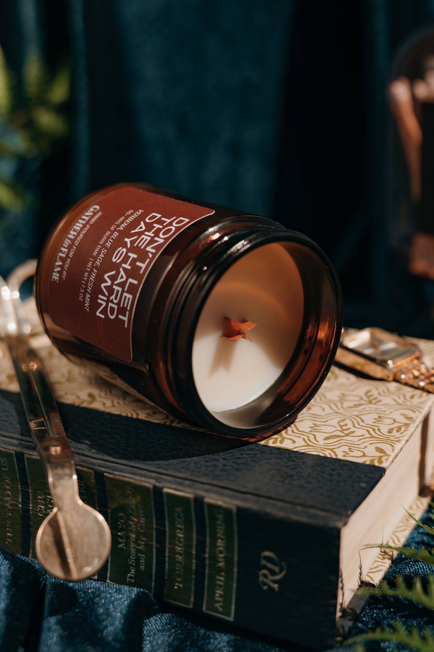 Don't Let The Hard Days Win Wood Wick Candle