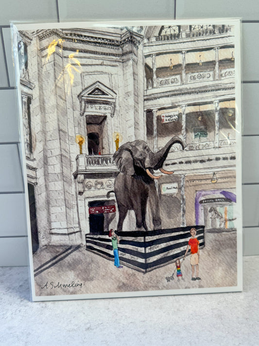 Natural History Museum Watercolor Print