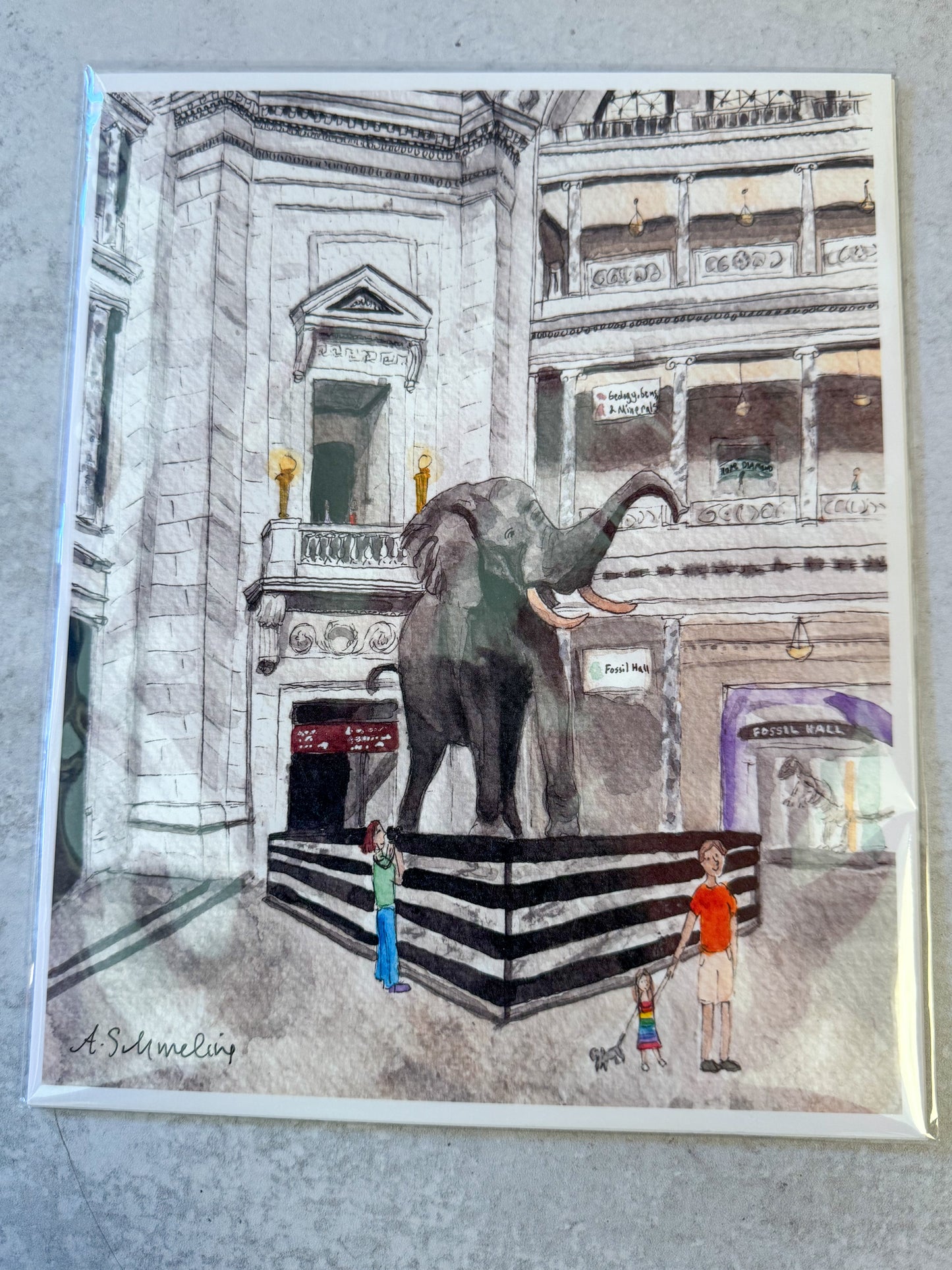 Natural History Museum Watercolor Print