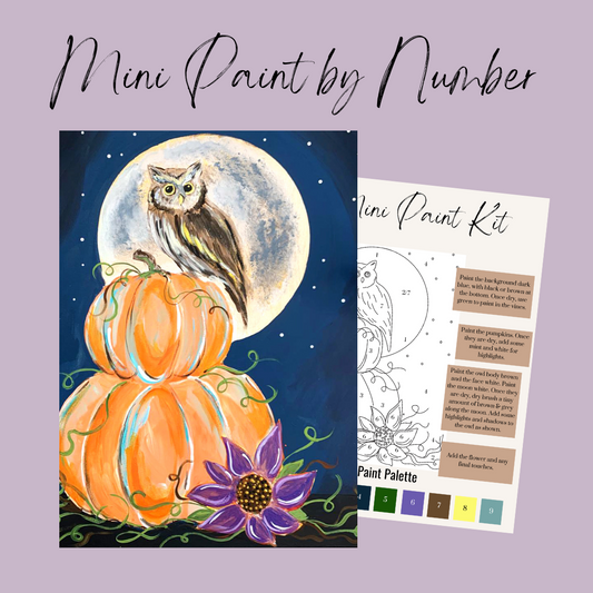 Harvest Owl Mini Paint By Number