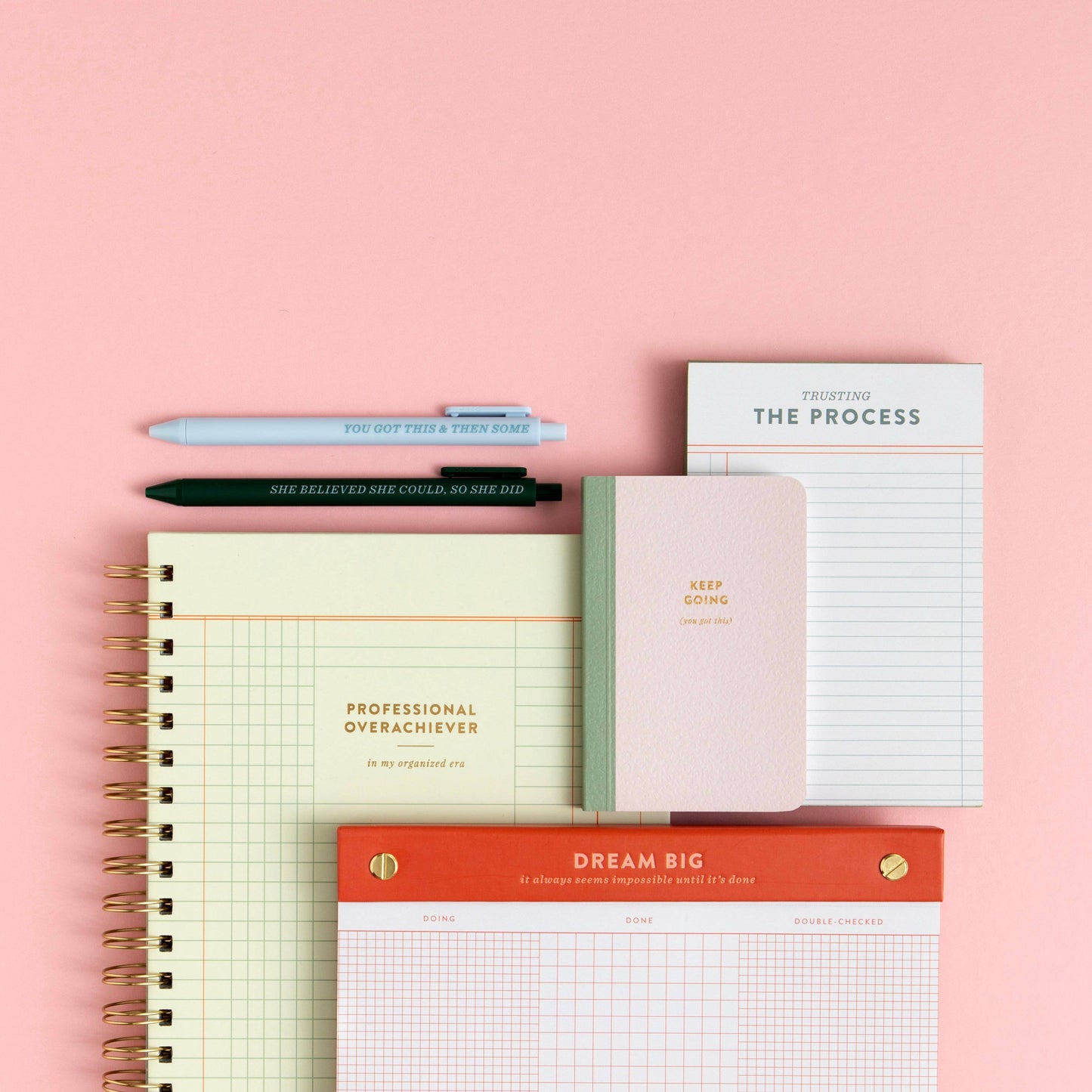 Professional Overachiever Spiral Notebook