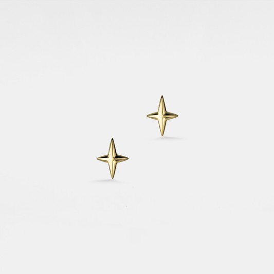Star Stud Earrings