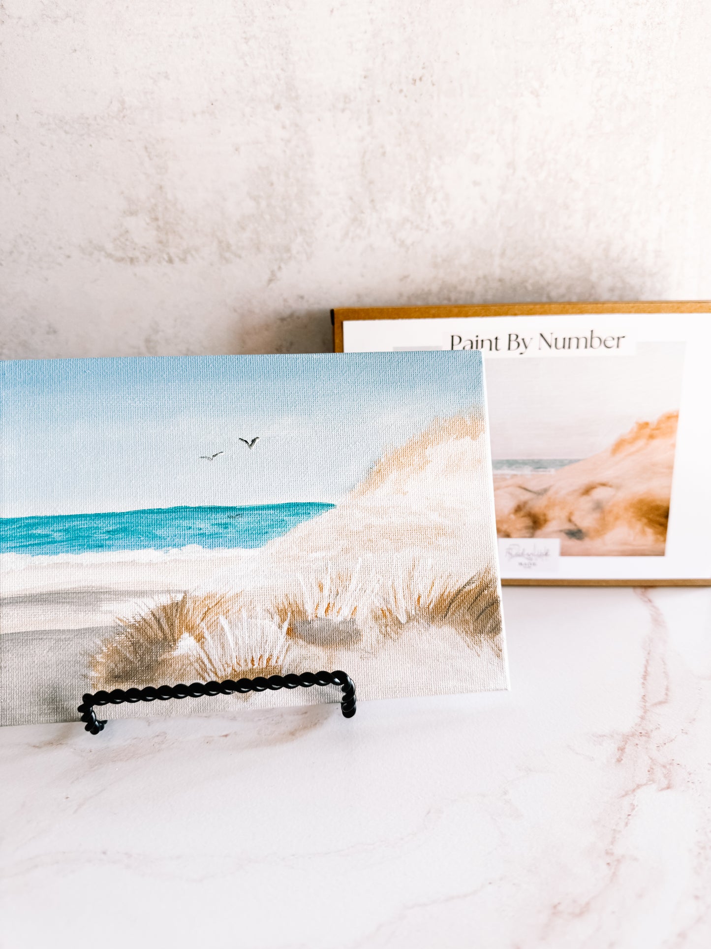 Sand Dunes Mini Paint by Number