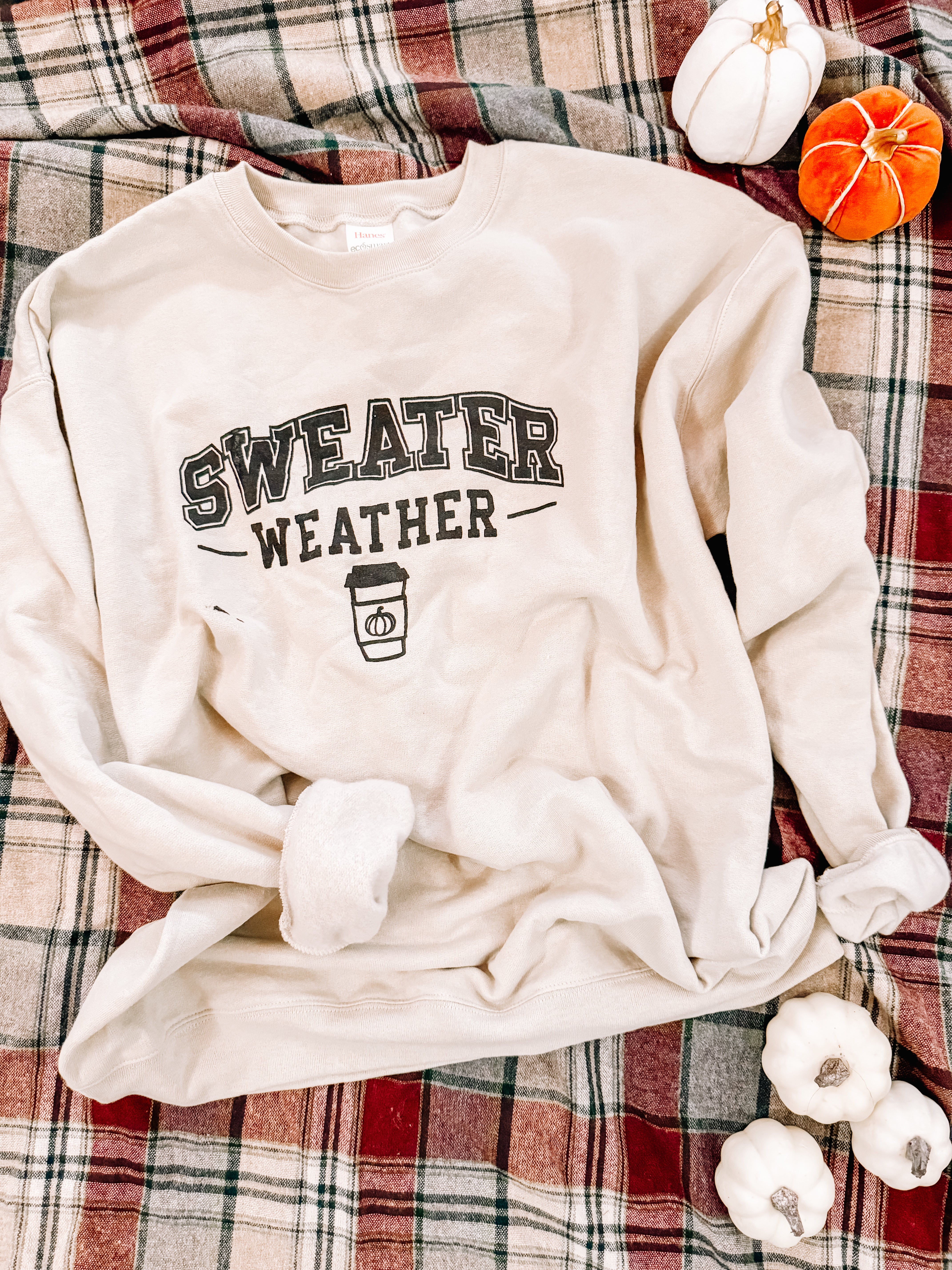 Sweater weather sweatshirt preorder Small