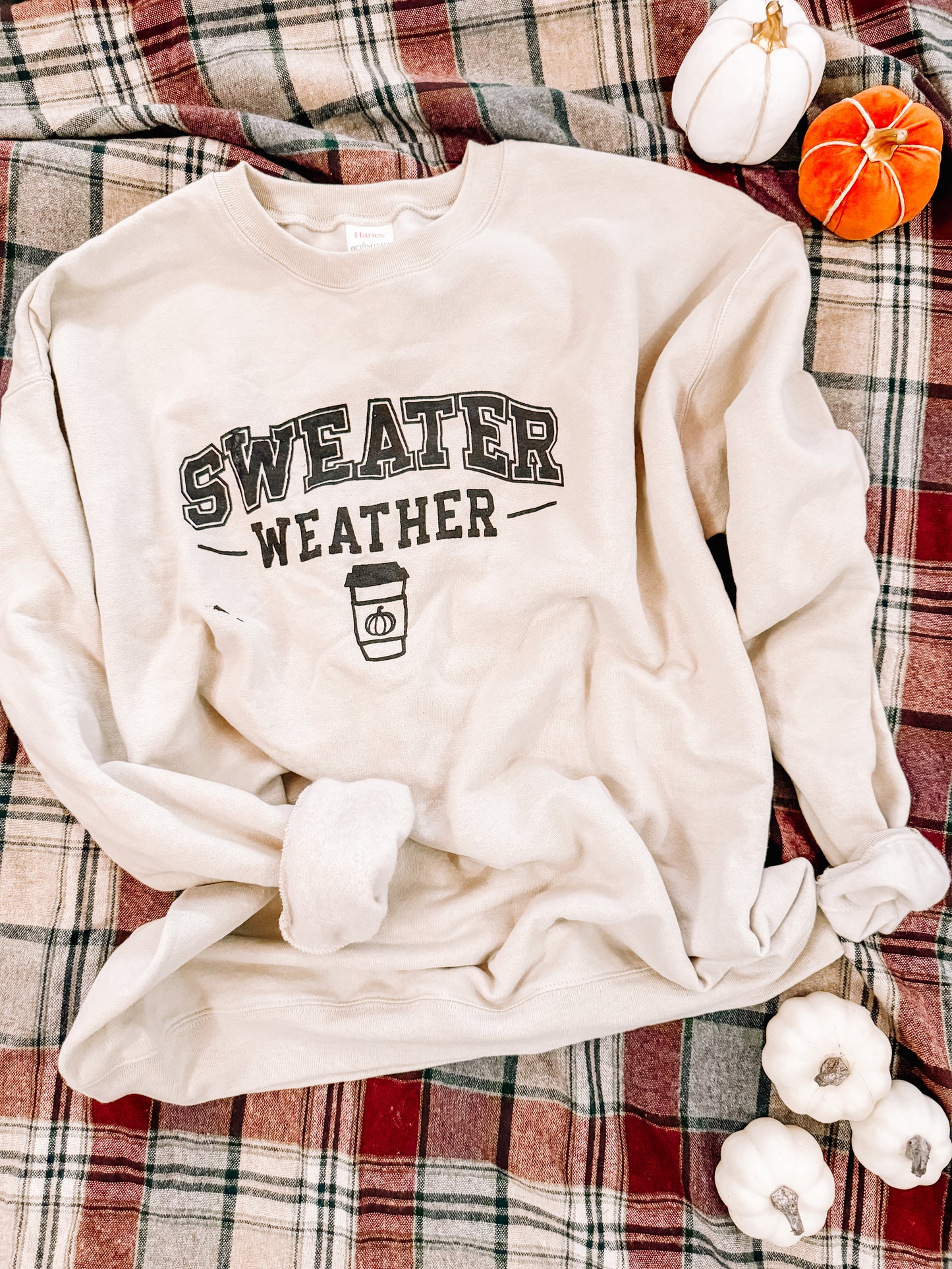 Sweater weather sweatshirt - preorder