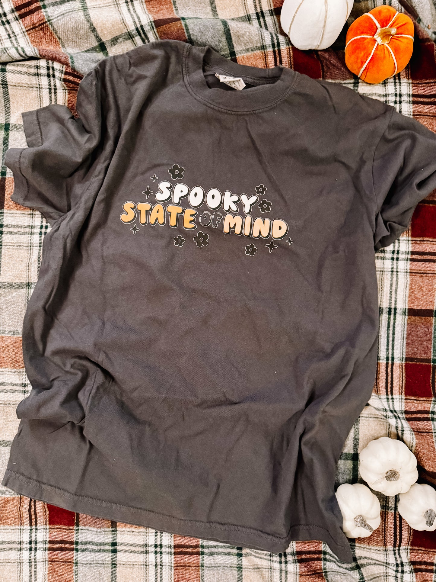 Pre-order spooky state of mind tee