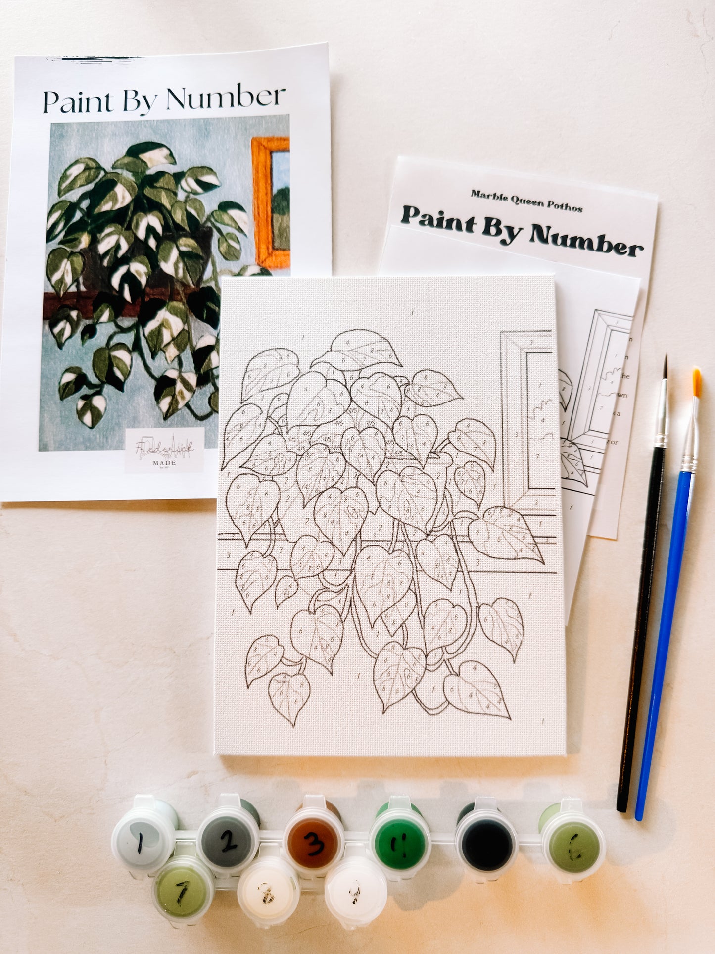 Marble Queen Pothos Mini Paint By Number