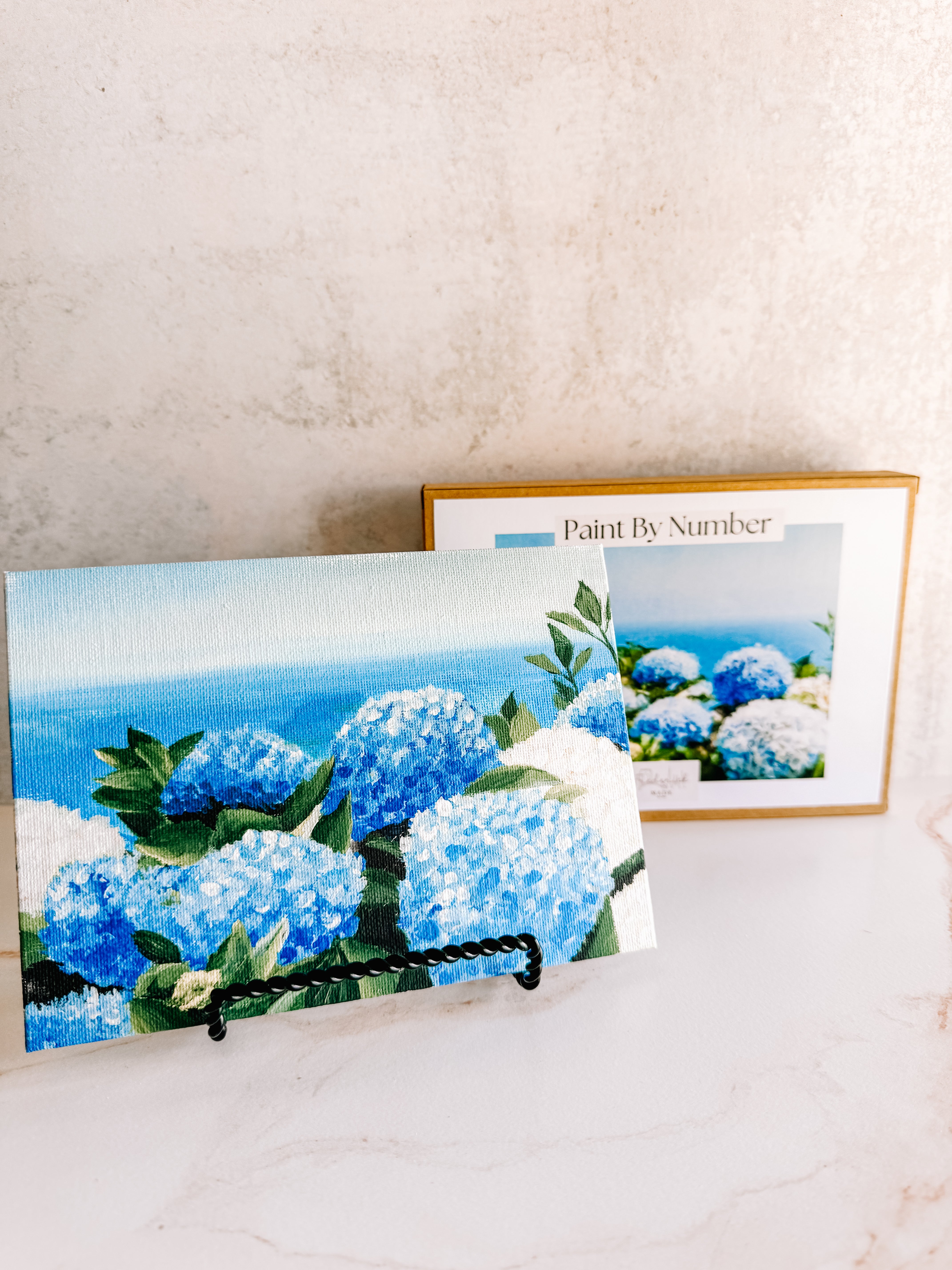 Hydrangeas Mini Paint by Number – FrederickMade