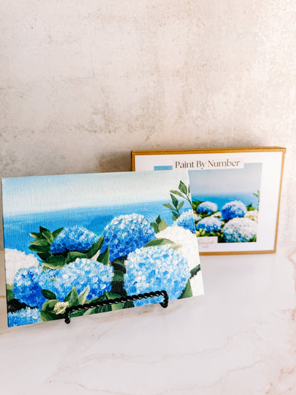 Hydrangeas Mini Paint by Number