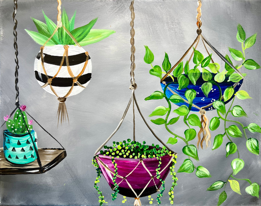 Hanging House plants Paint Kit