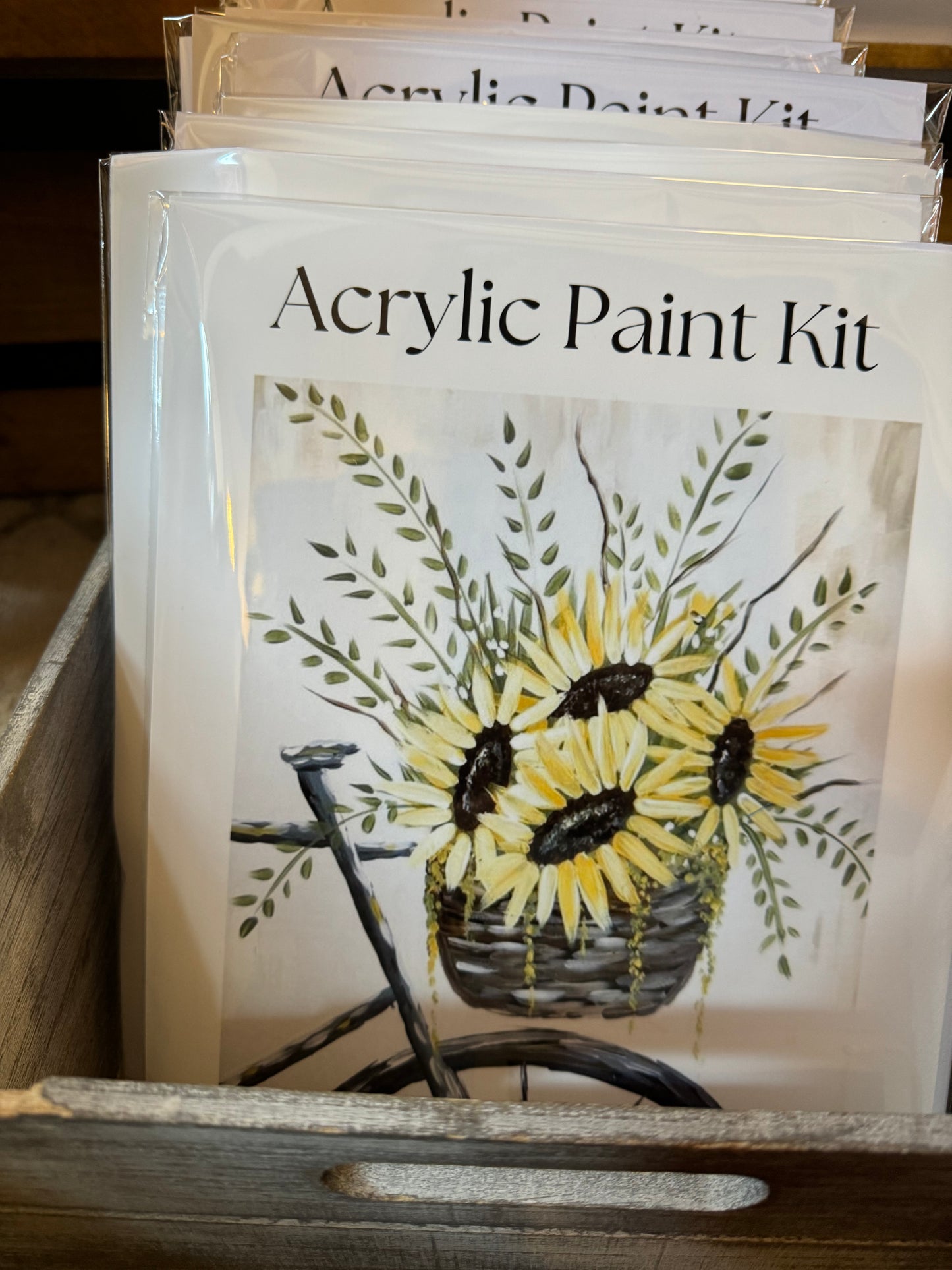 Floral Chicken Acrylic Paint Kit