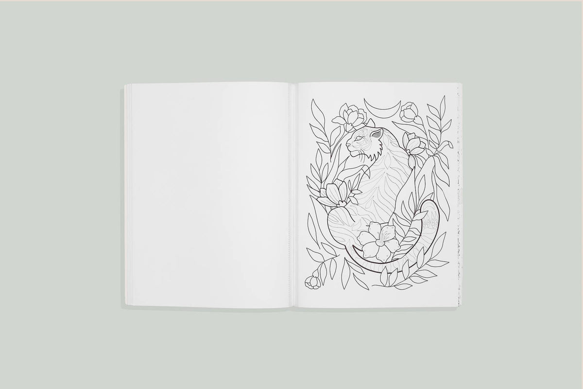 You are Made of Magic: Coloring book with Affirmations